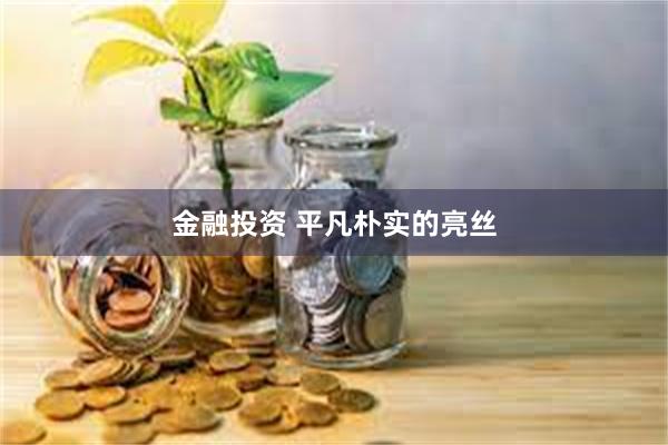 金融投资 平凡朴实的亮丝