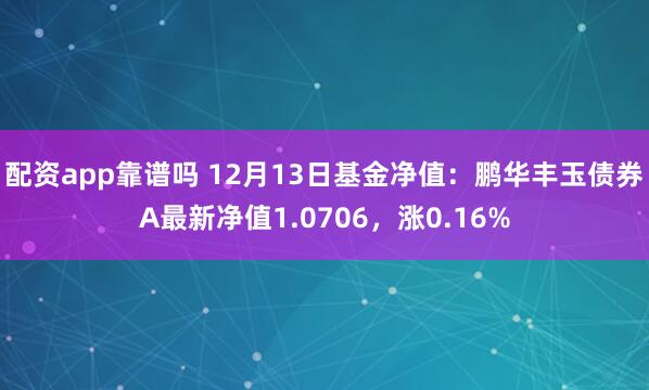 配资app靠谱吗 12月13日基金净值：鹏华丰玉债券A最新净值1.0706，涨0.16%