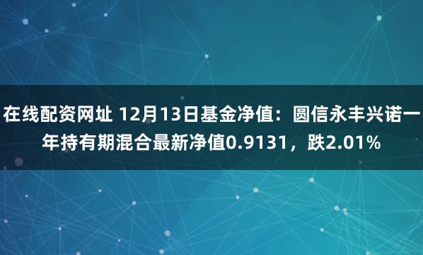 在线配资网址 12月13日基金净值：圆信永丰兴诺一年持有期混合最新净值0.9131，跌2.01%