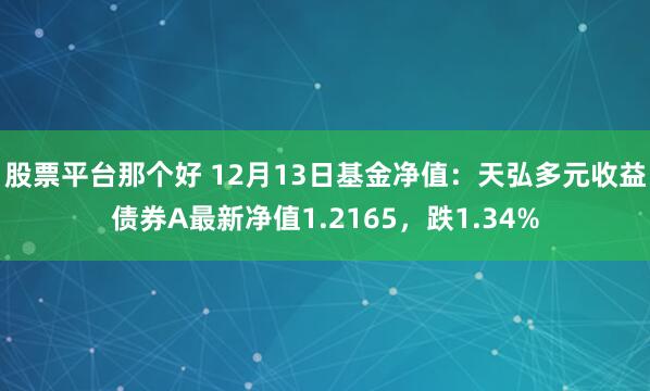 股票平台那个好 12月13日基金净值：天弘多元收益债券A最新净值1.2165，跌1.34%