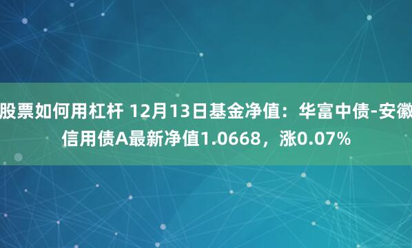 股票如何用杠杆 12月13日基金净值：华富中债-安徽信用债A最新净值1.0668，涨0.07%