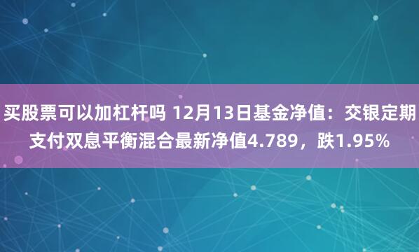 买股票可以加杠杆吗 12月13日基金净值：交银定期支付双息平衡混合最新净值4.789，跌1.95%