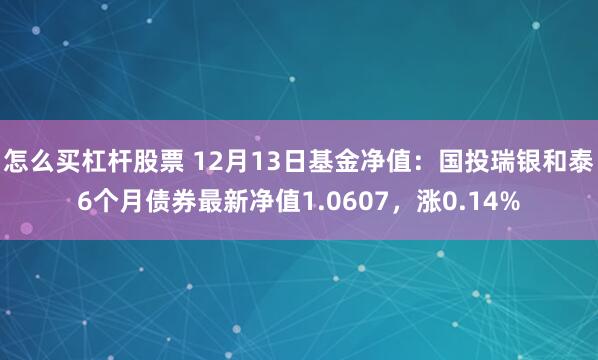 怎么买杠杆股票 12月13日基金净值：国投瑞银和泰6个月债券最新净值1.0607，涨0.14%