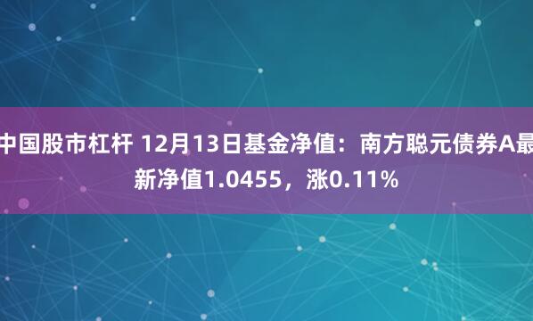 中国股市杠杆 12月13日基金净值：南方聪元债券A最新净值1.0455，涨0.11%