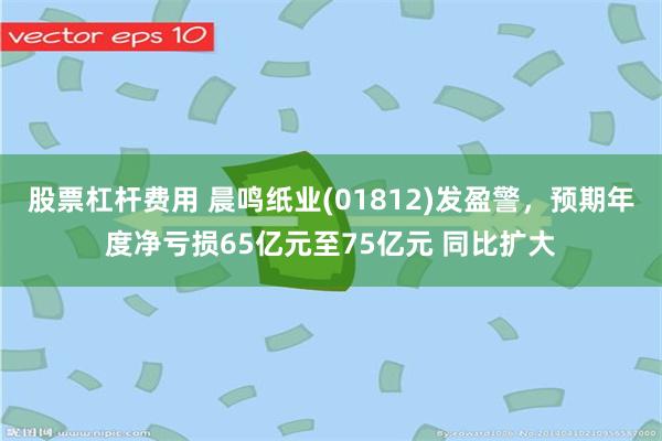 股票杠杆费用 晨鸣纸业(01812)发盈警，预期年度净亏损65亿元至75亿元 同比扩大